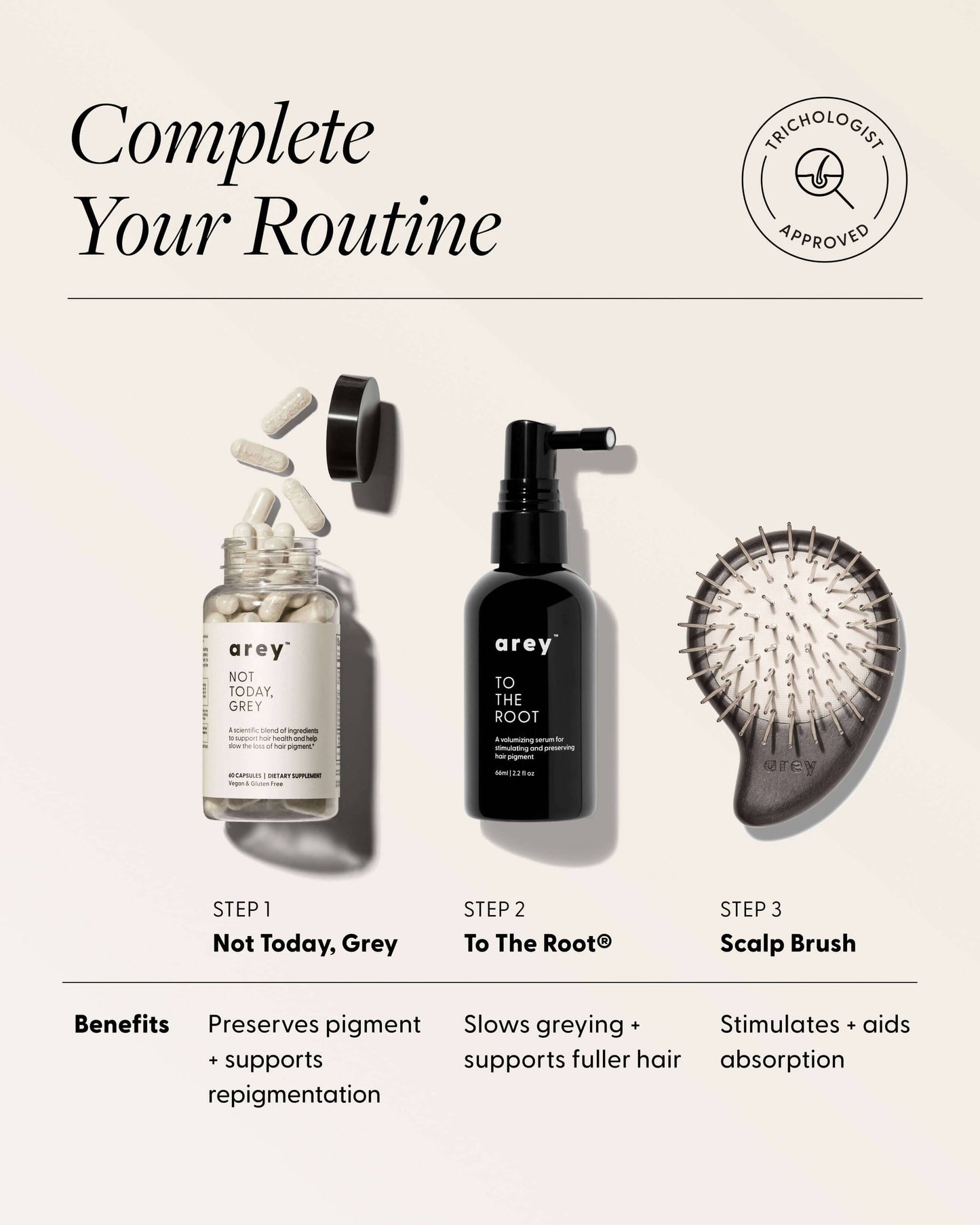 The Scalp Brush