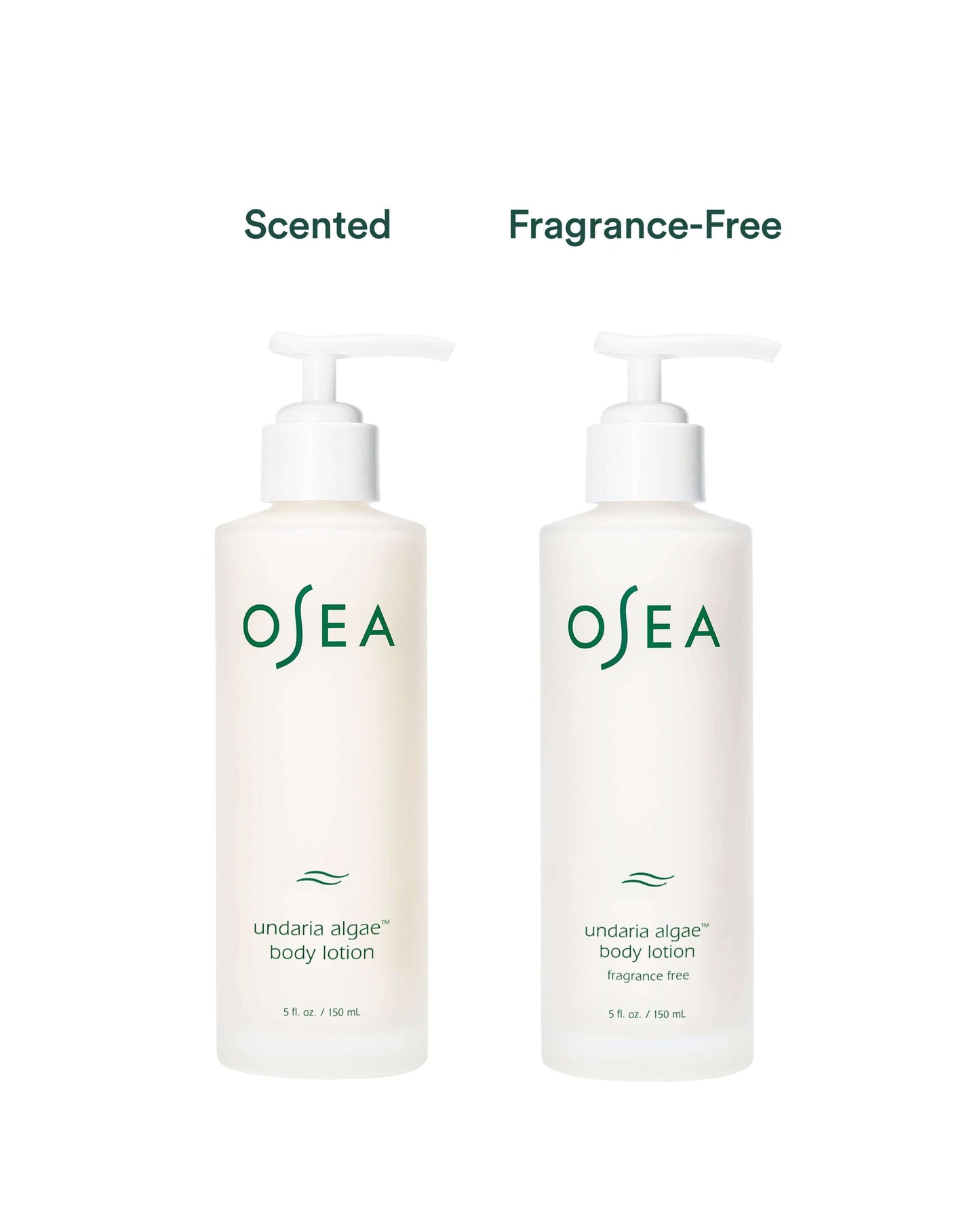 Undaria Algae Body Lotion Fragrance Free