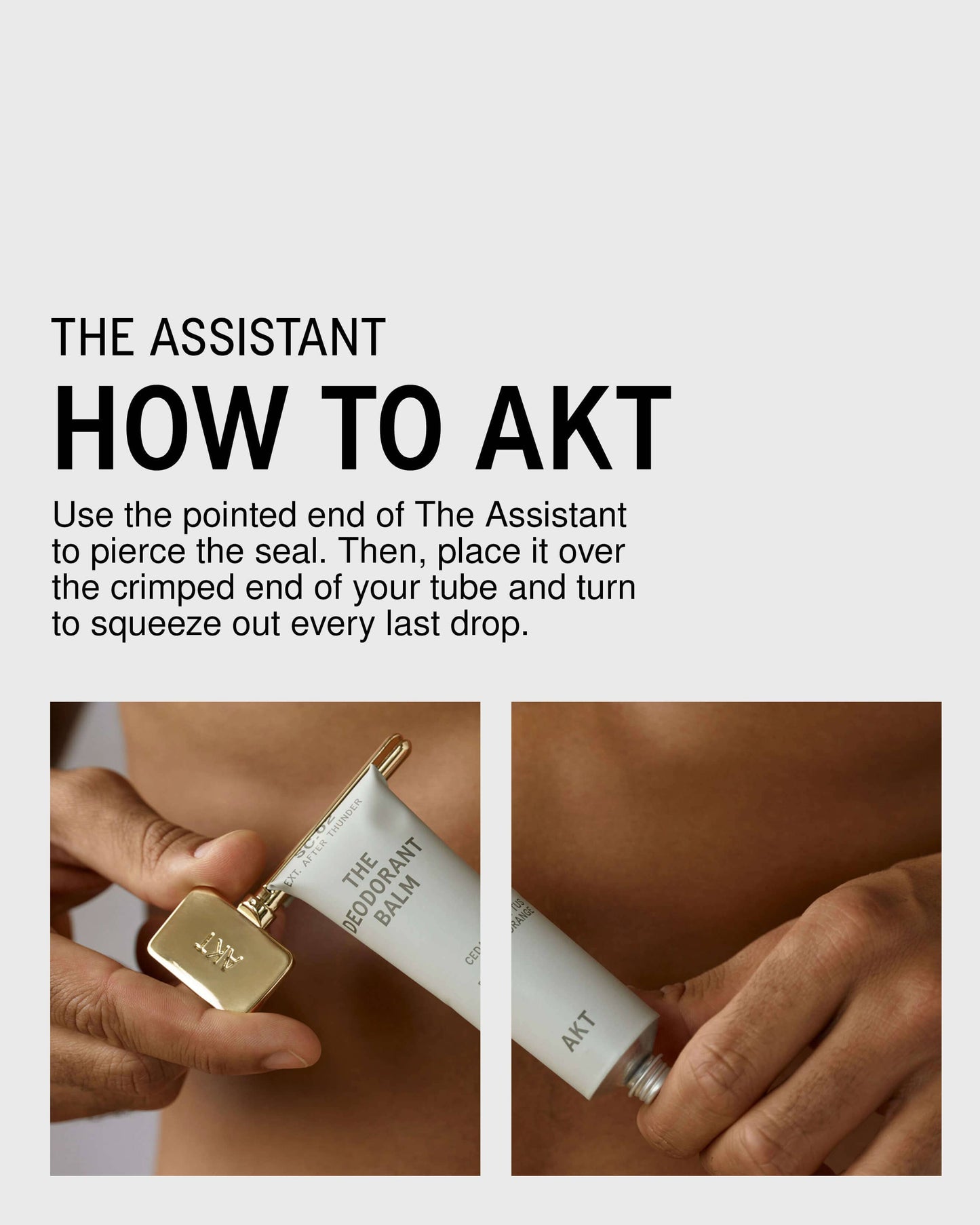 The Assistant