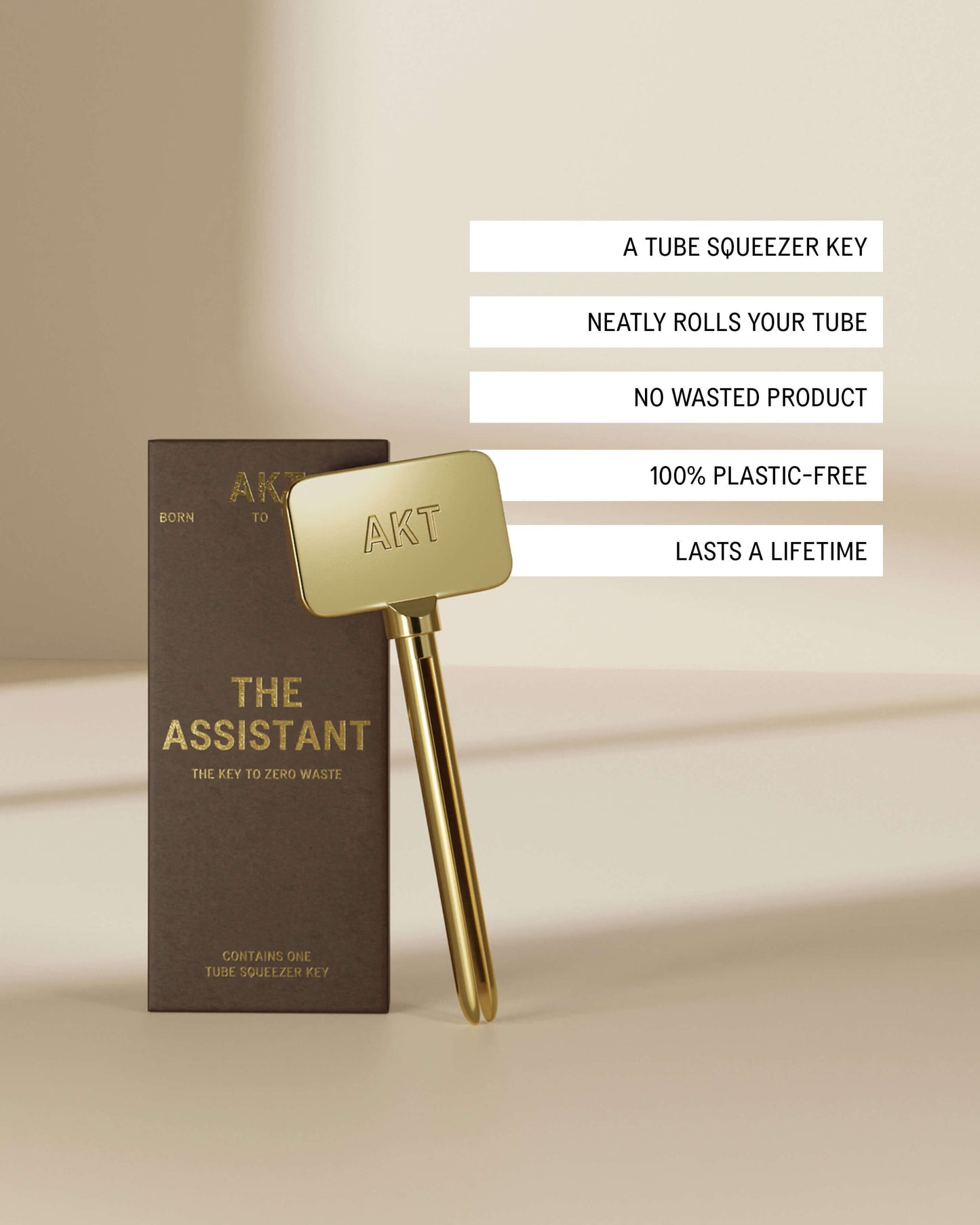 The Assistant