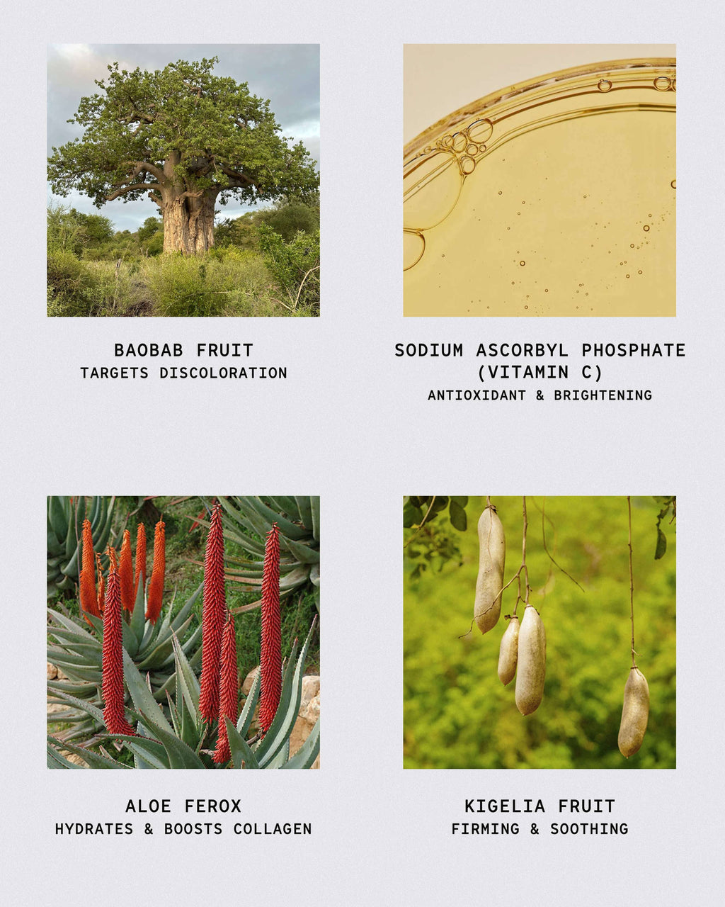 African Botanics Nettoyant Oxygénant à l'Argile et au Baobab
