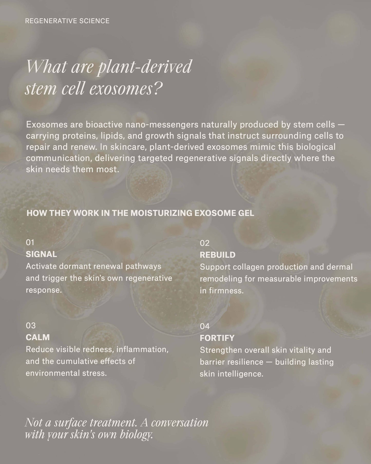 Moisturizing Exosome Advanced Regenerative Gel Moisturizer