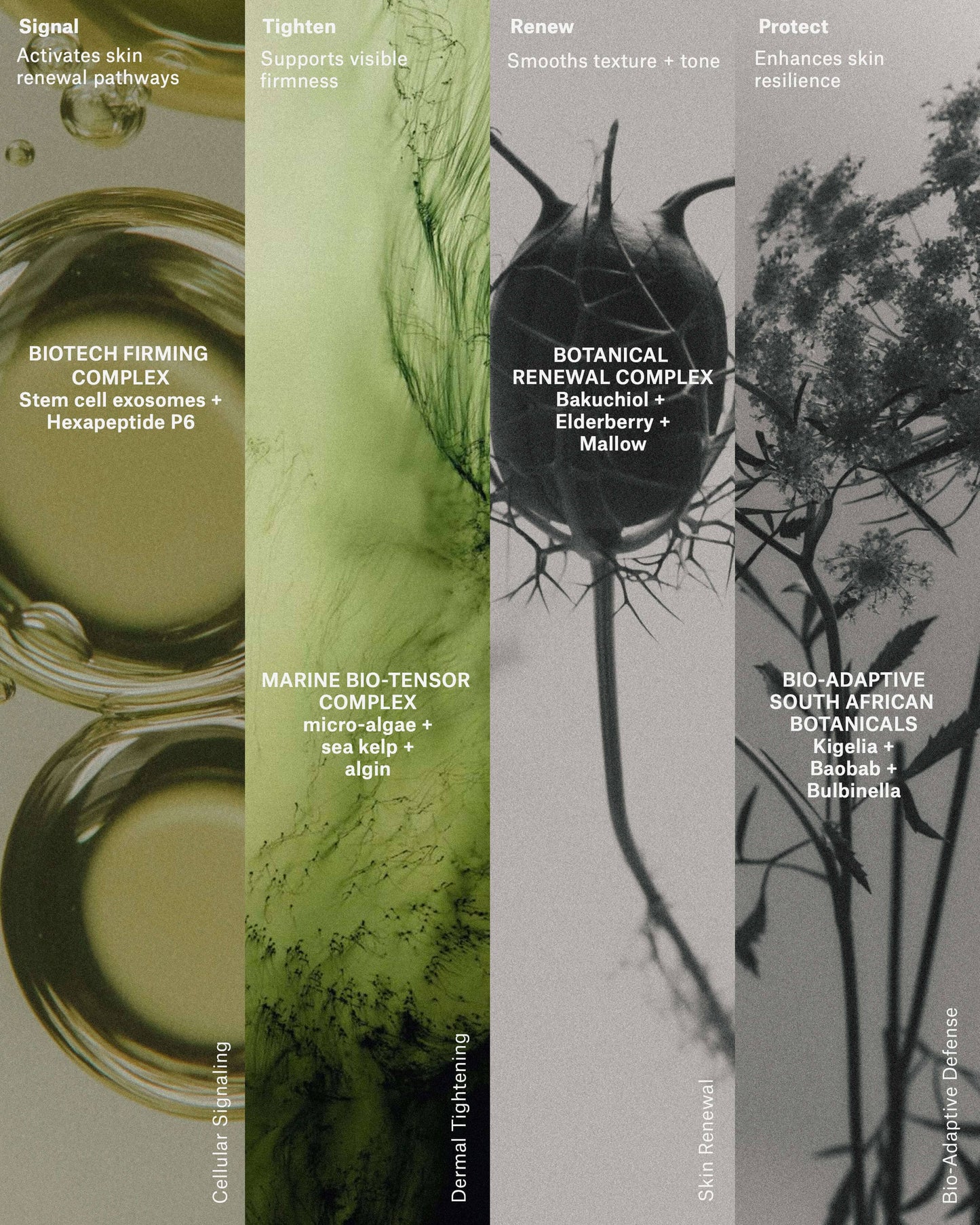 Neck & Decollete Treatment Emulsion