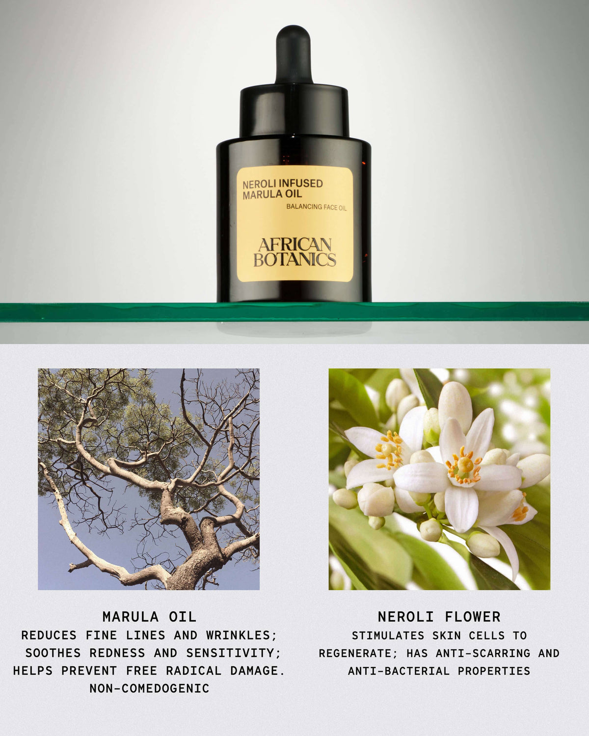 Huile de Marula à l'Extrait de Néroli African Botanics