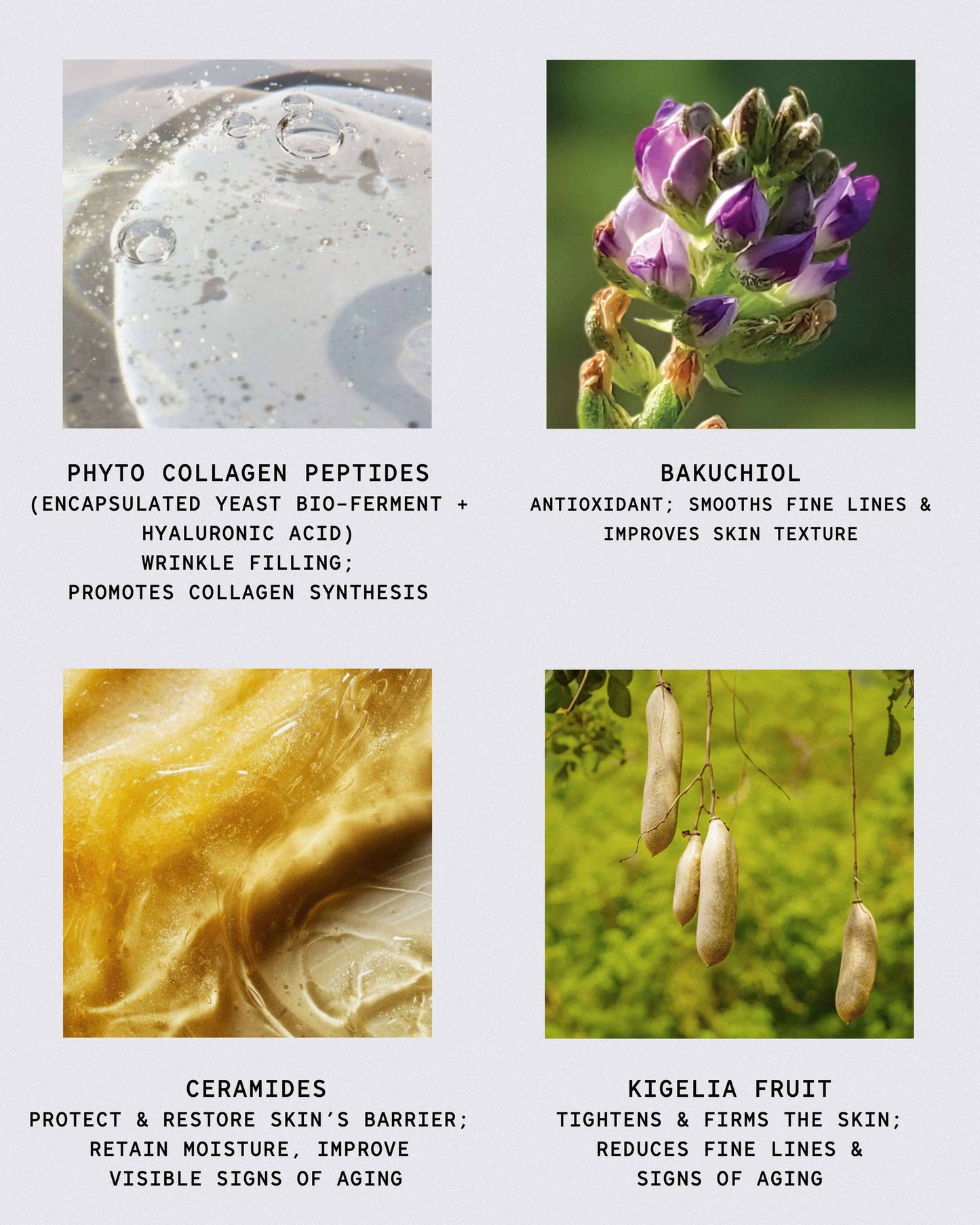African Botanics Phyto-Collagen Restorative Cream