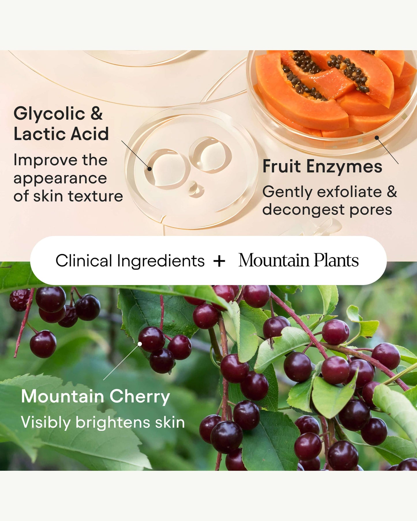 Brightening Bubbling Cleanser with AHA's & Fruit Enzymes