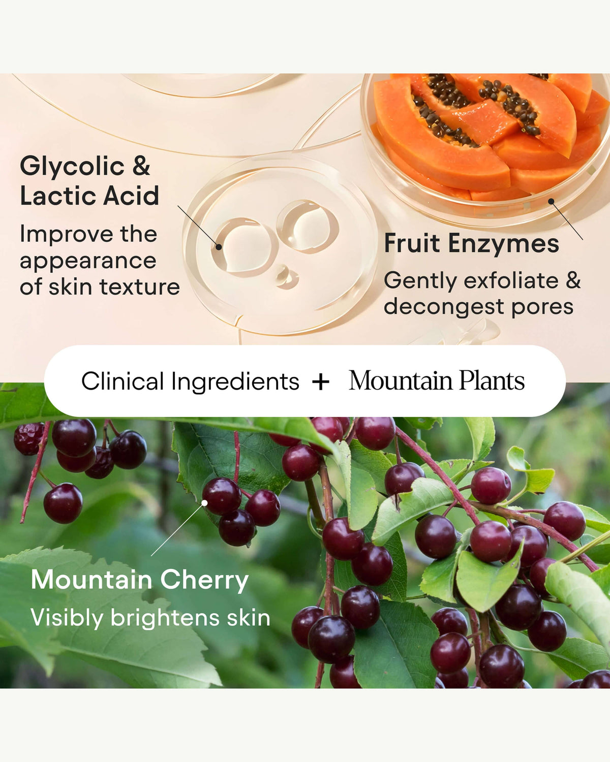 Nettoyant Moussant Illuminateur aux AHA et Enzymes de Fruits