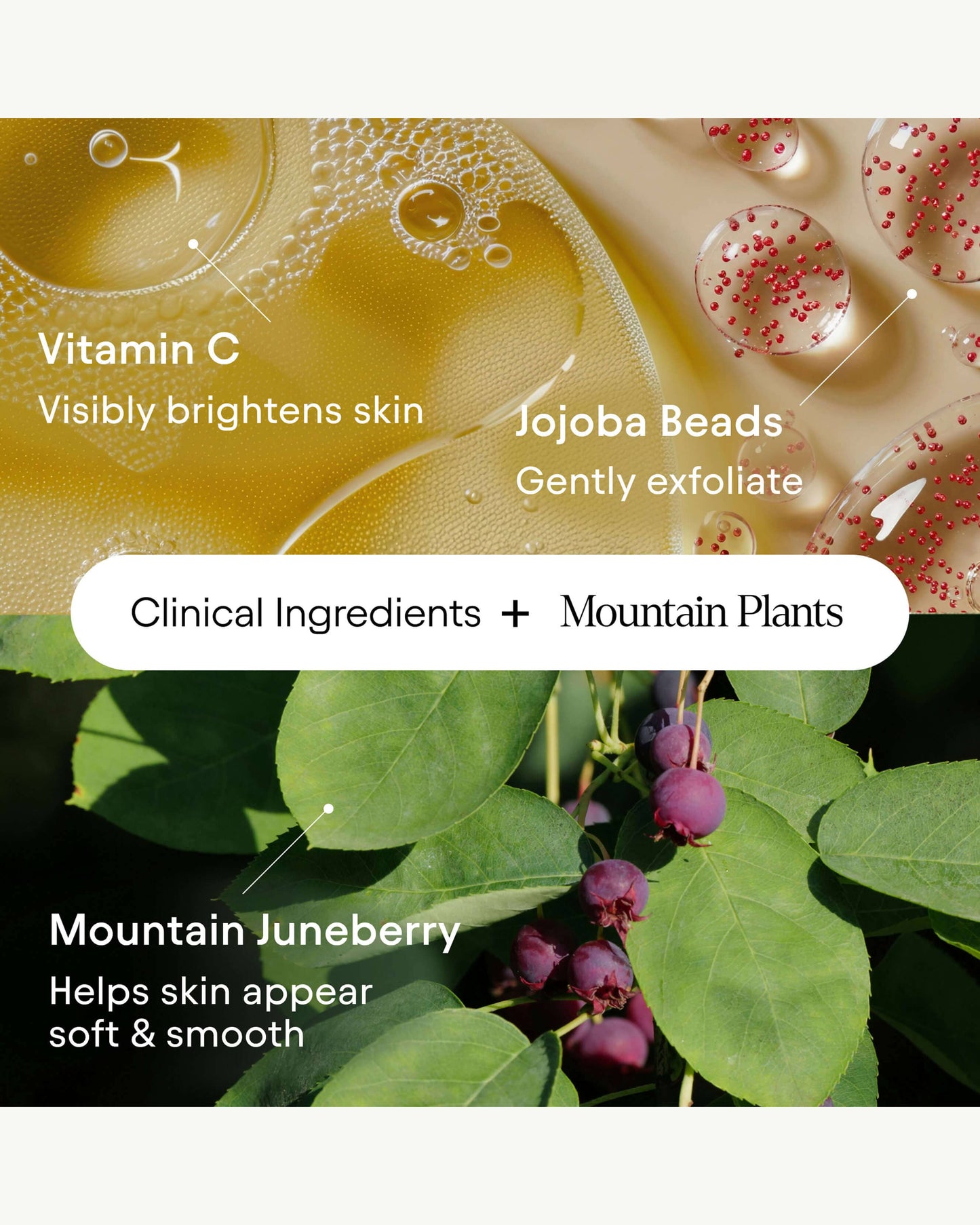 Hydrating Cream Cleanser with Vitamin C & Juneberry
