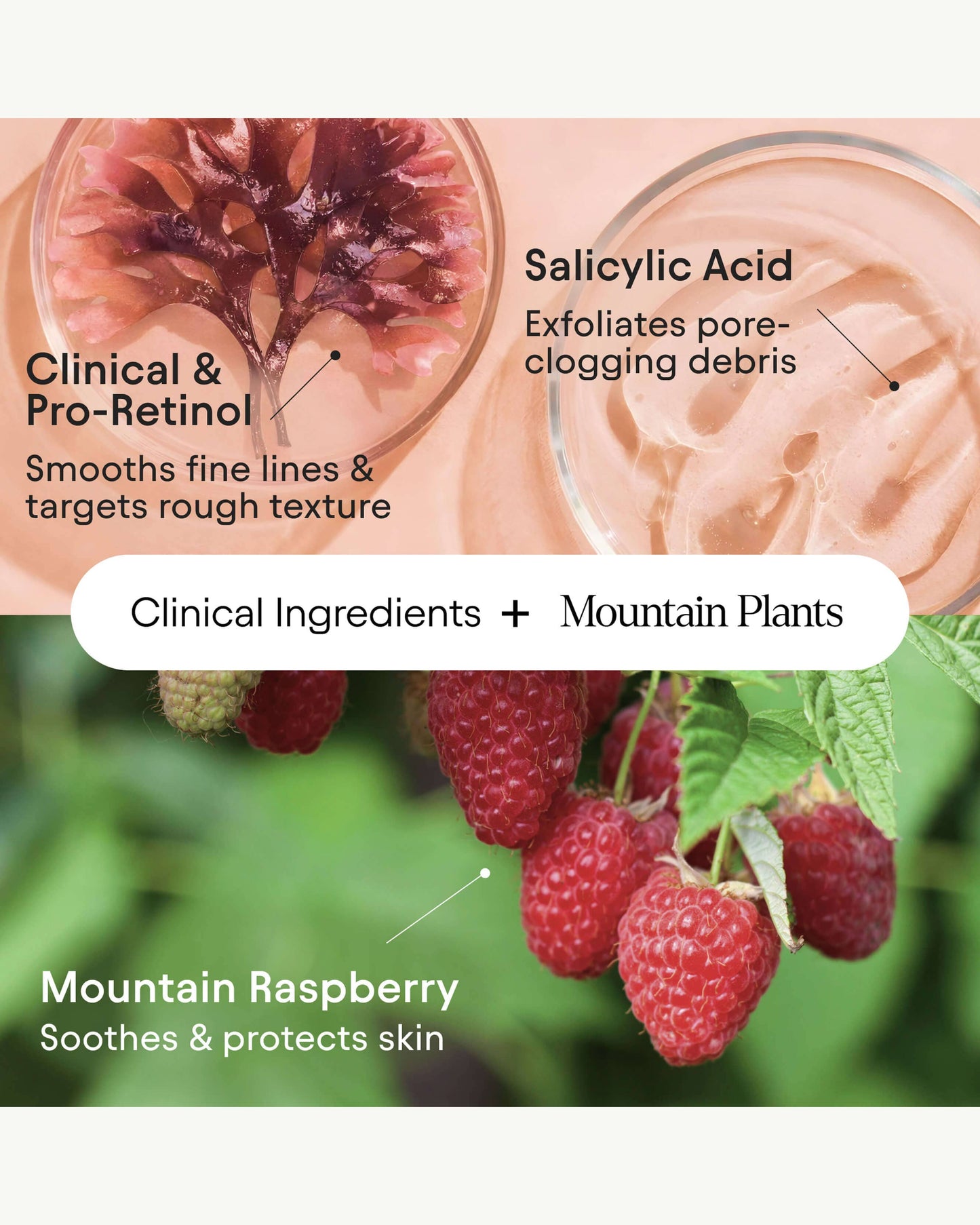 Clarifying Facial Oil with Retinol & Pink Algae