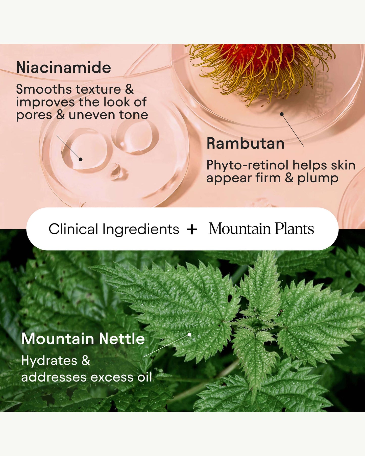 Hydrating Firming Serum with Niacinamide & Nettle