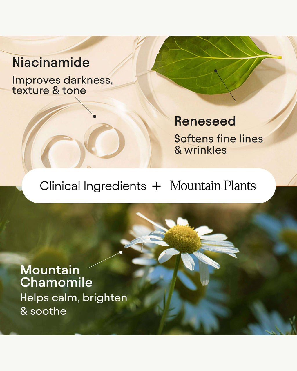 Soin Yeux Illuminateur Instantané aux Peptides et Niacinamide