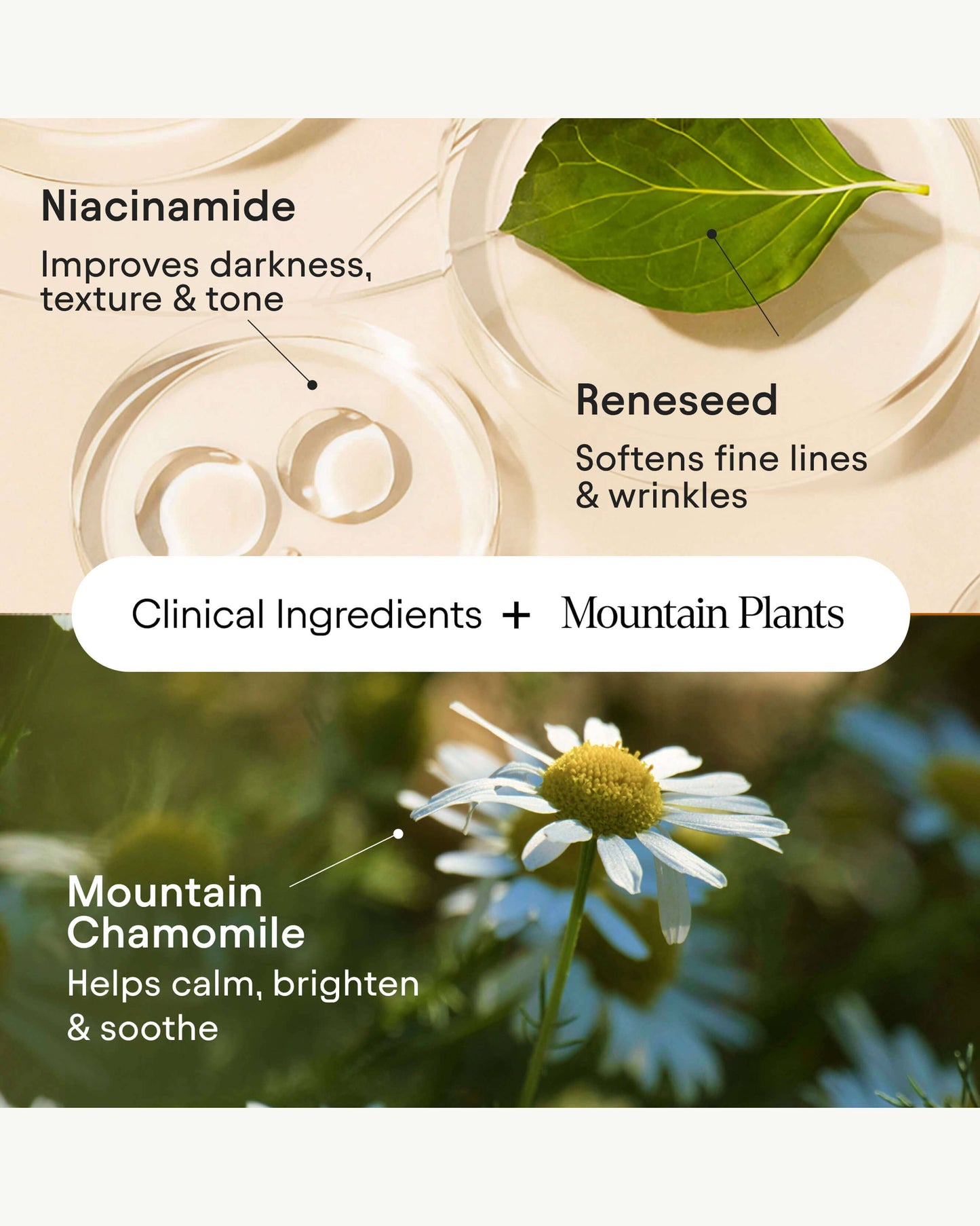 Instant Bright Eye with Peptides & Niacinamide
