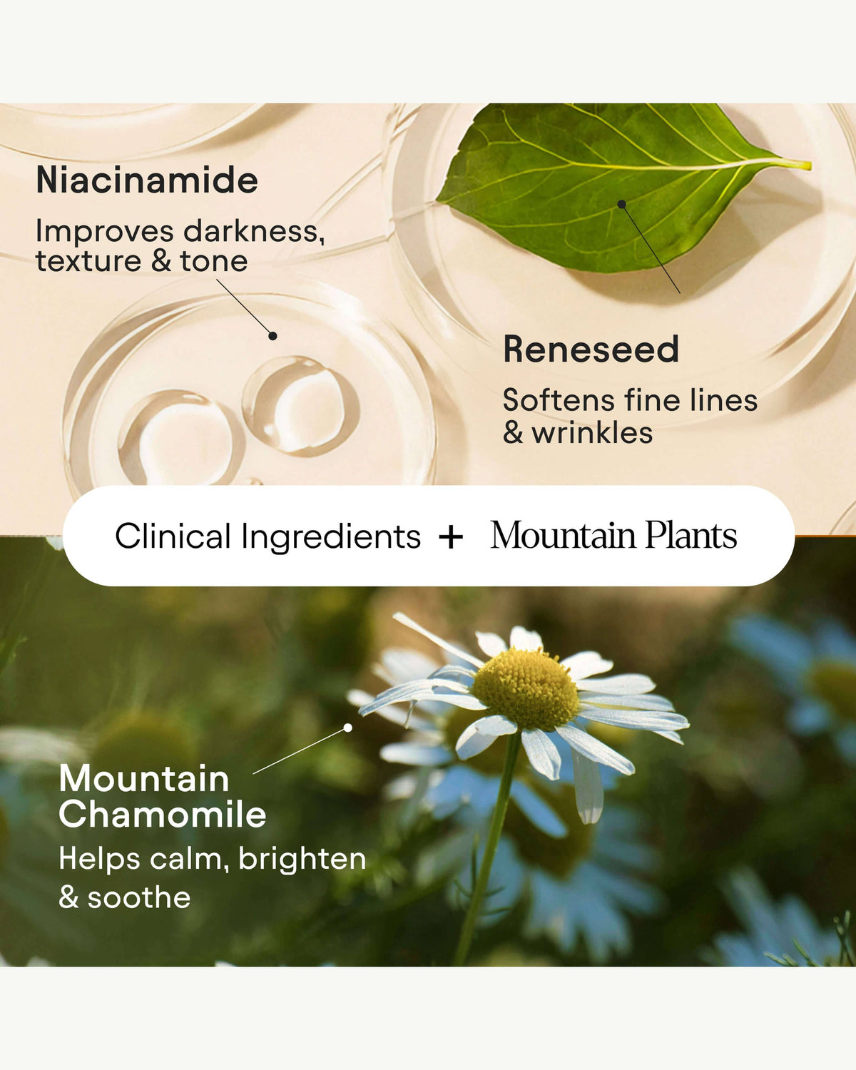 Soin Yeux Illuminateur Instantané aux Peptides et Niacinamide