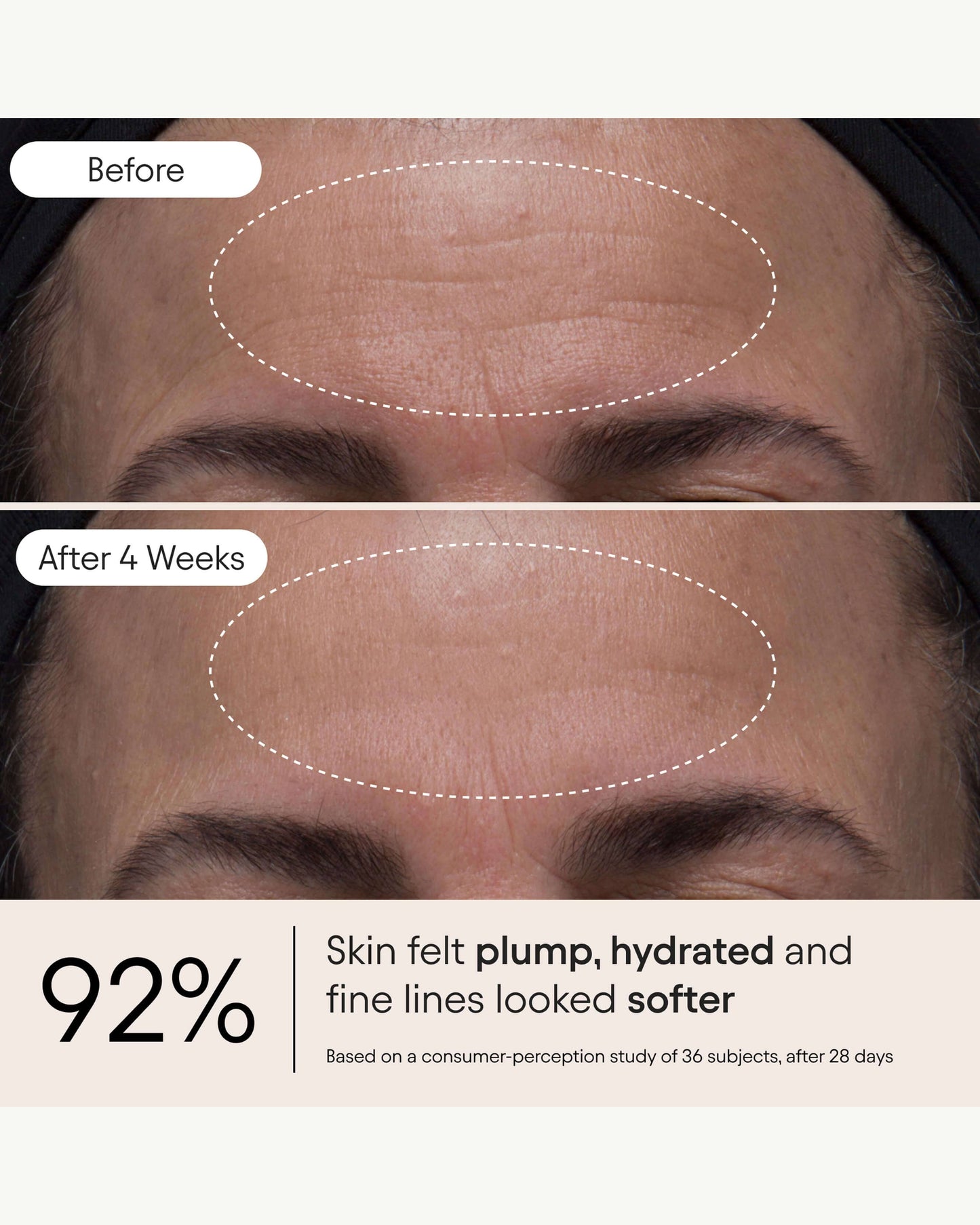 Melt Moisturizer