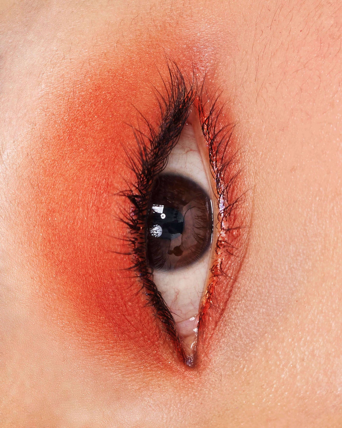 MÍRAME Eyeshadow Palette
