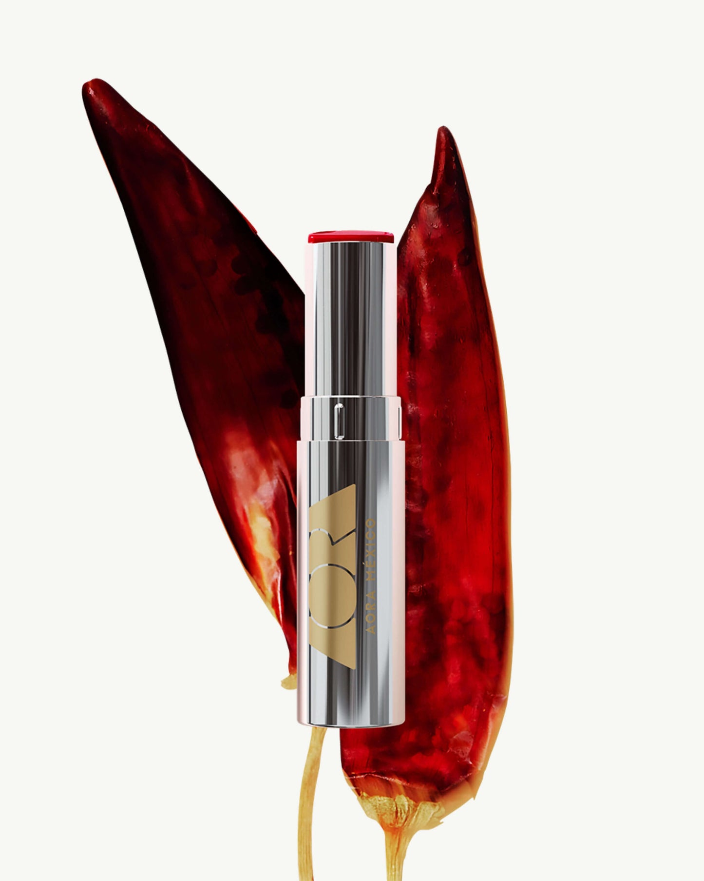 ACARÍCIAME MÁS Volumizing Solid Lip Serum