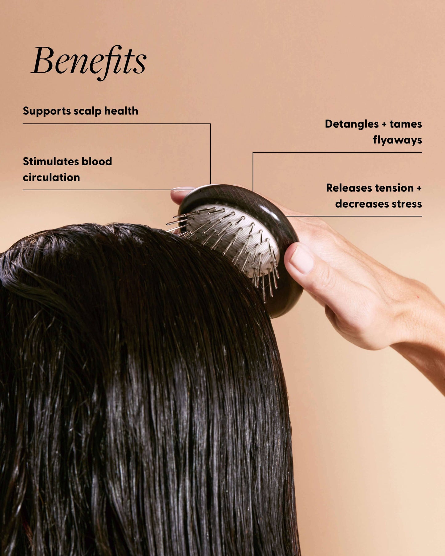 The Scalp Brush