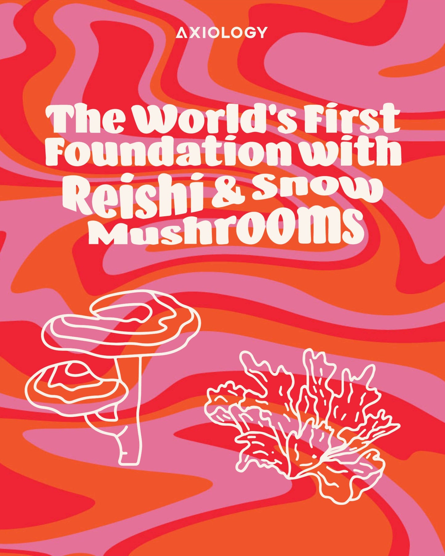 Fungdation Mushroom Foundation