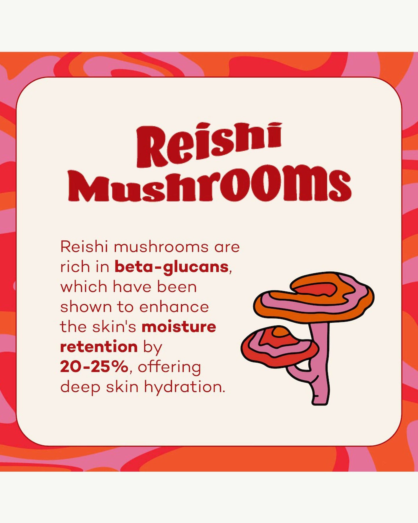 Fungdation Mushroom Foundation