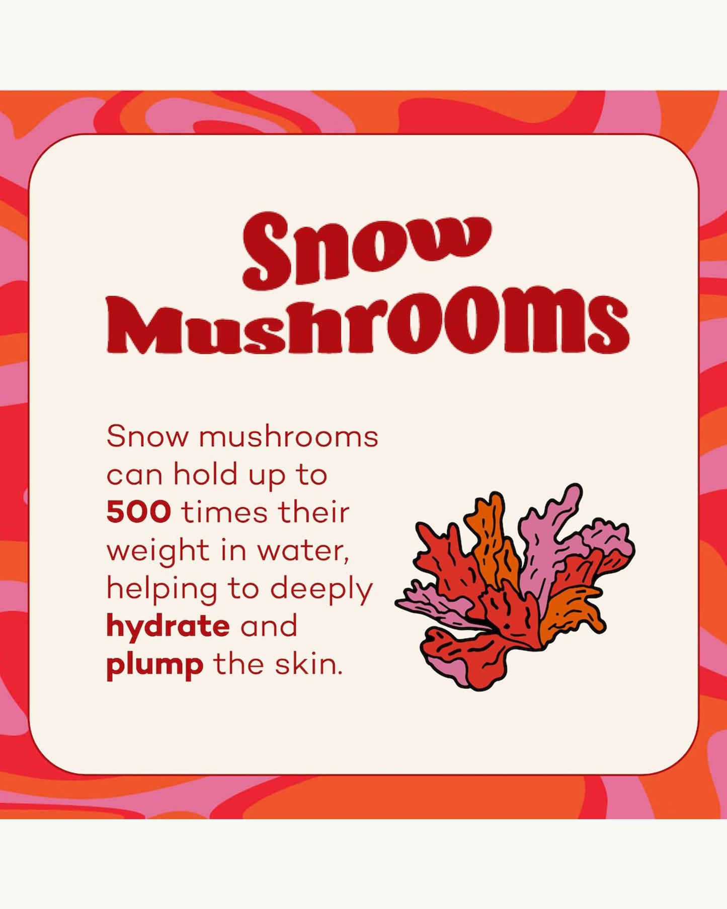 Fungdation Mushroom Foundation