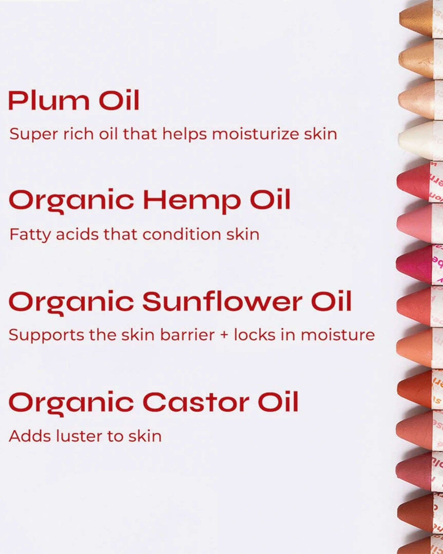 Lip-to-Lid Balmie