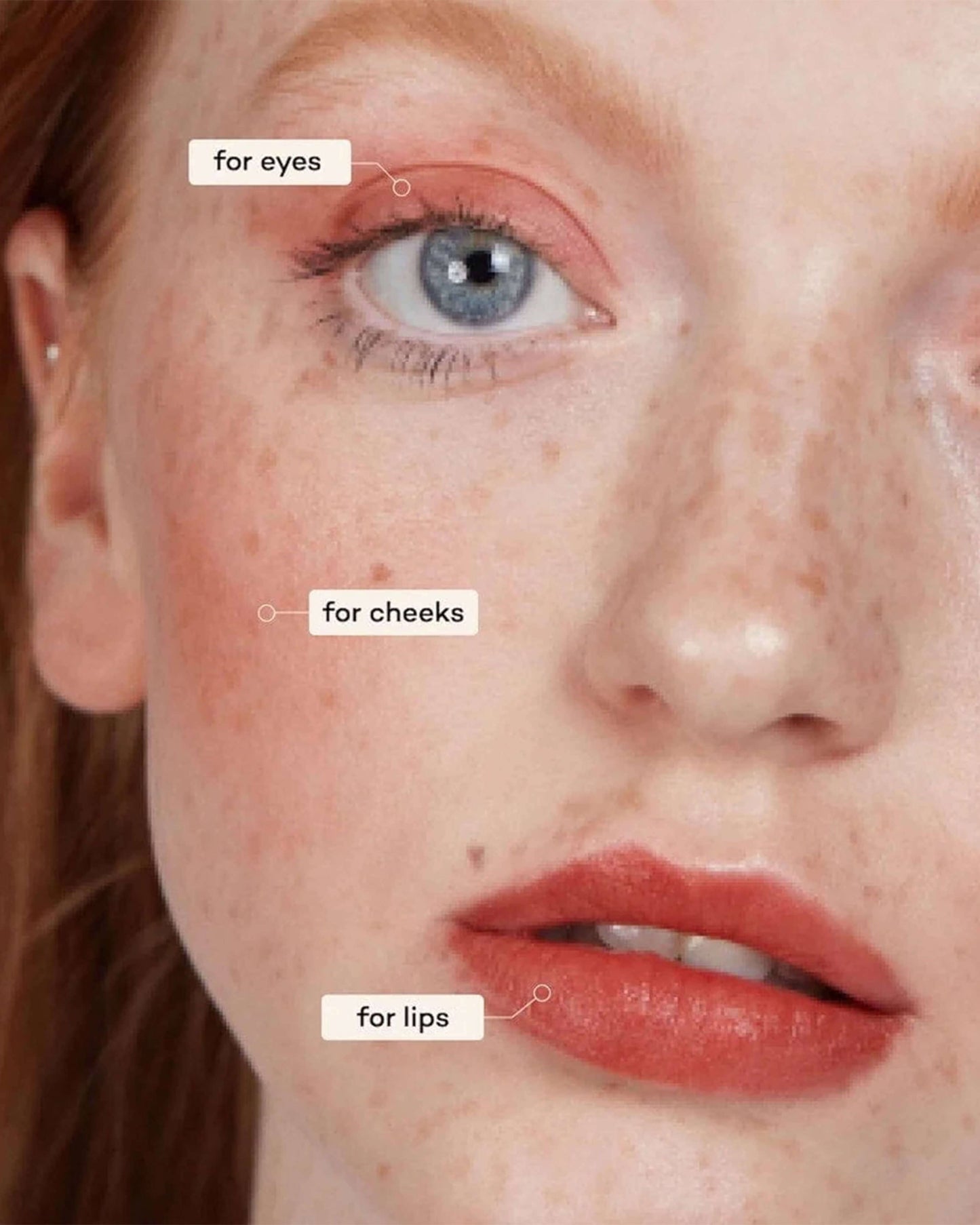 Lip-to-Lid Balmie