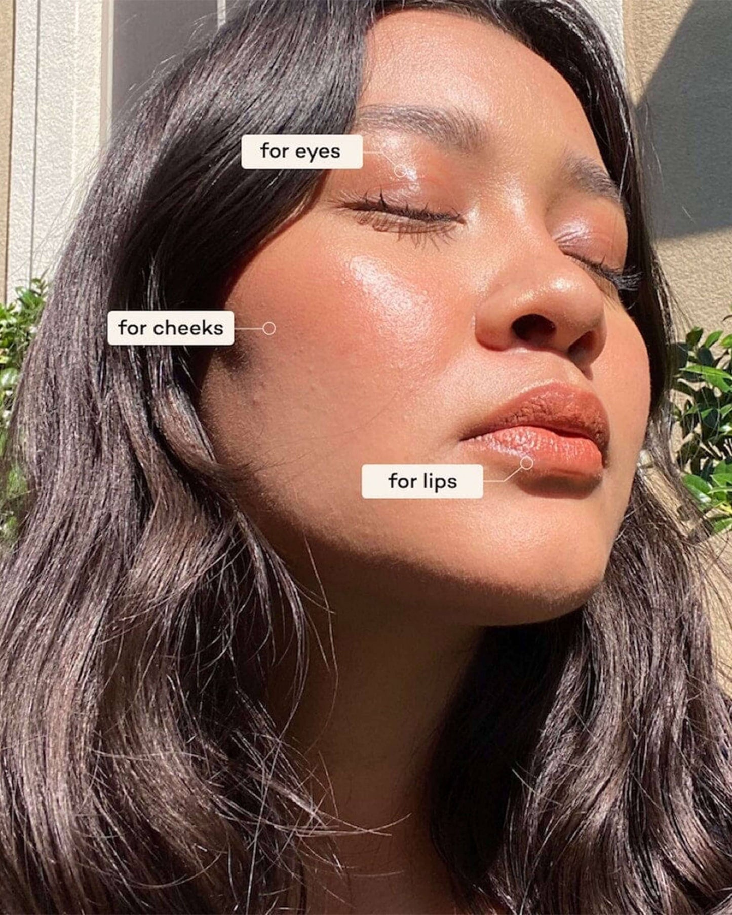 Lip-to-Lid Balmie