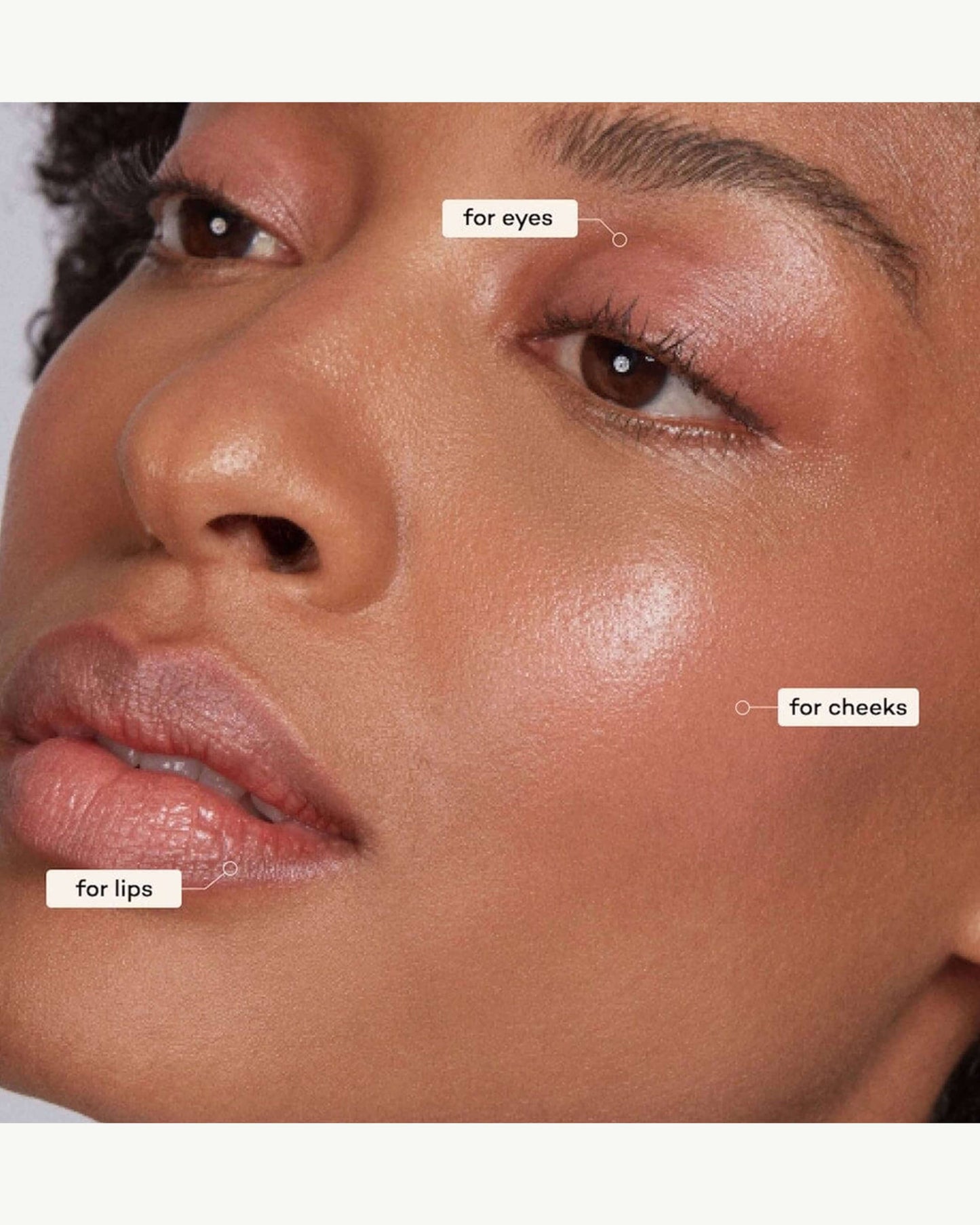 Lip-to-Lid Balmie