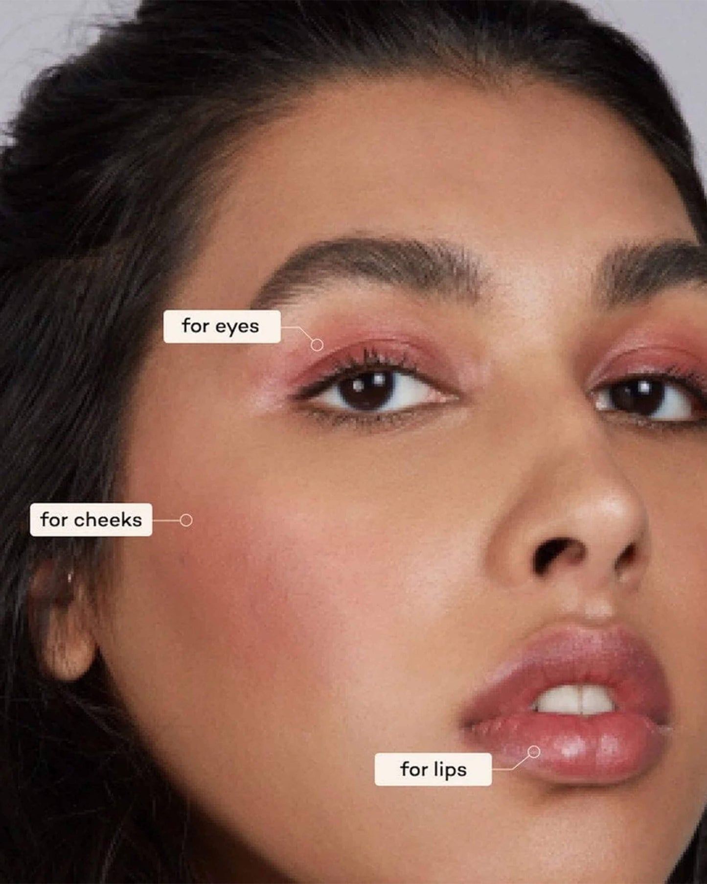 Lip-to-Lid Balmie