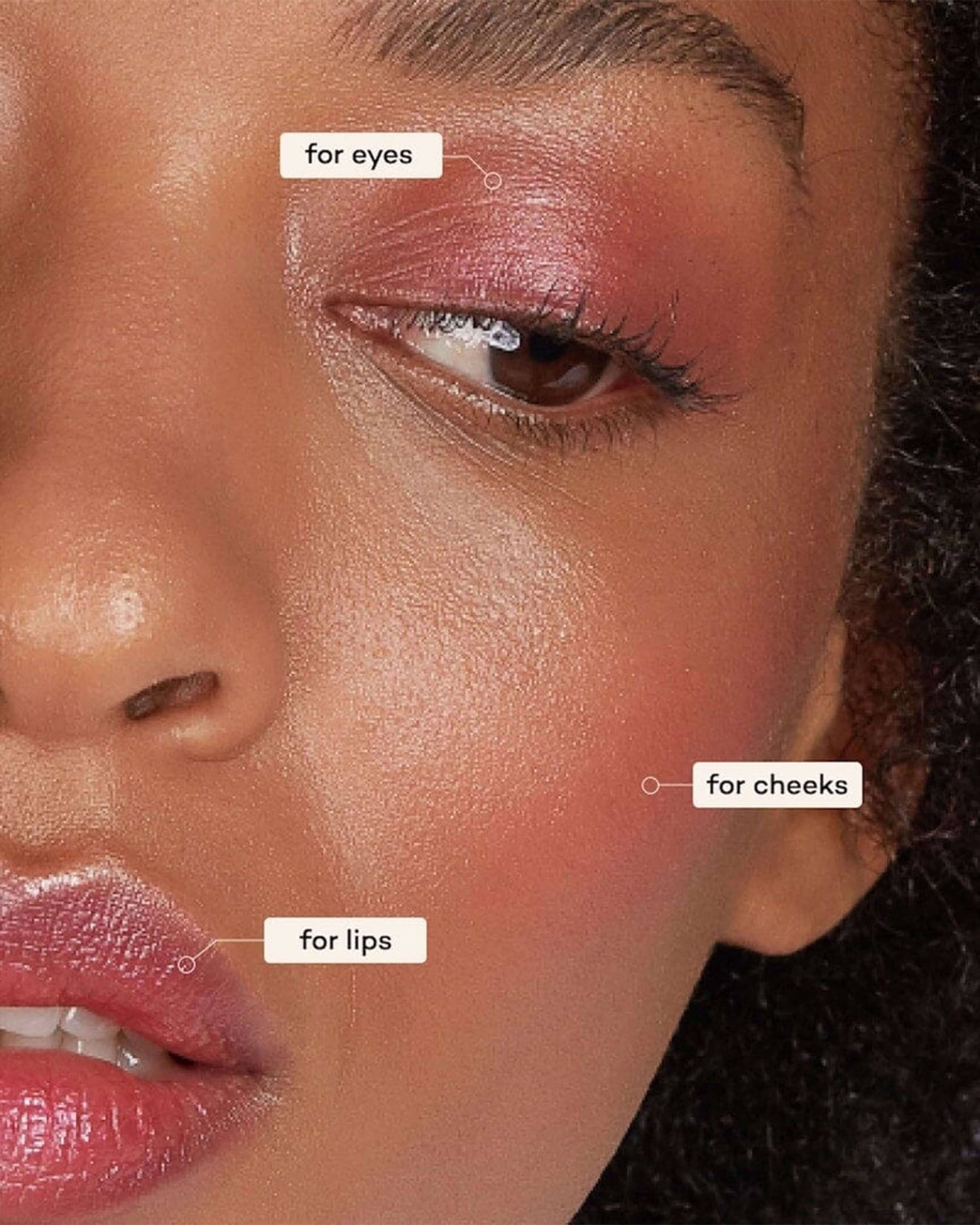 Lip-to-Lid Balmie
