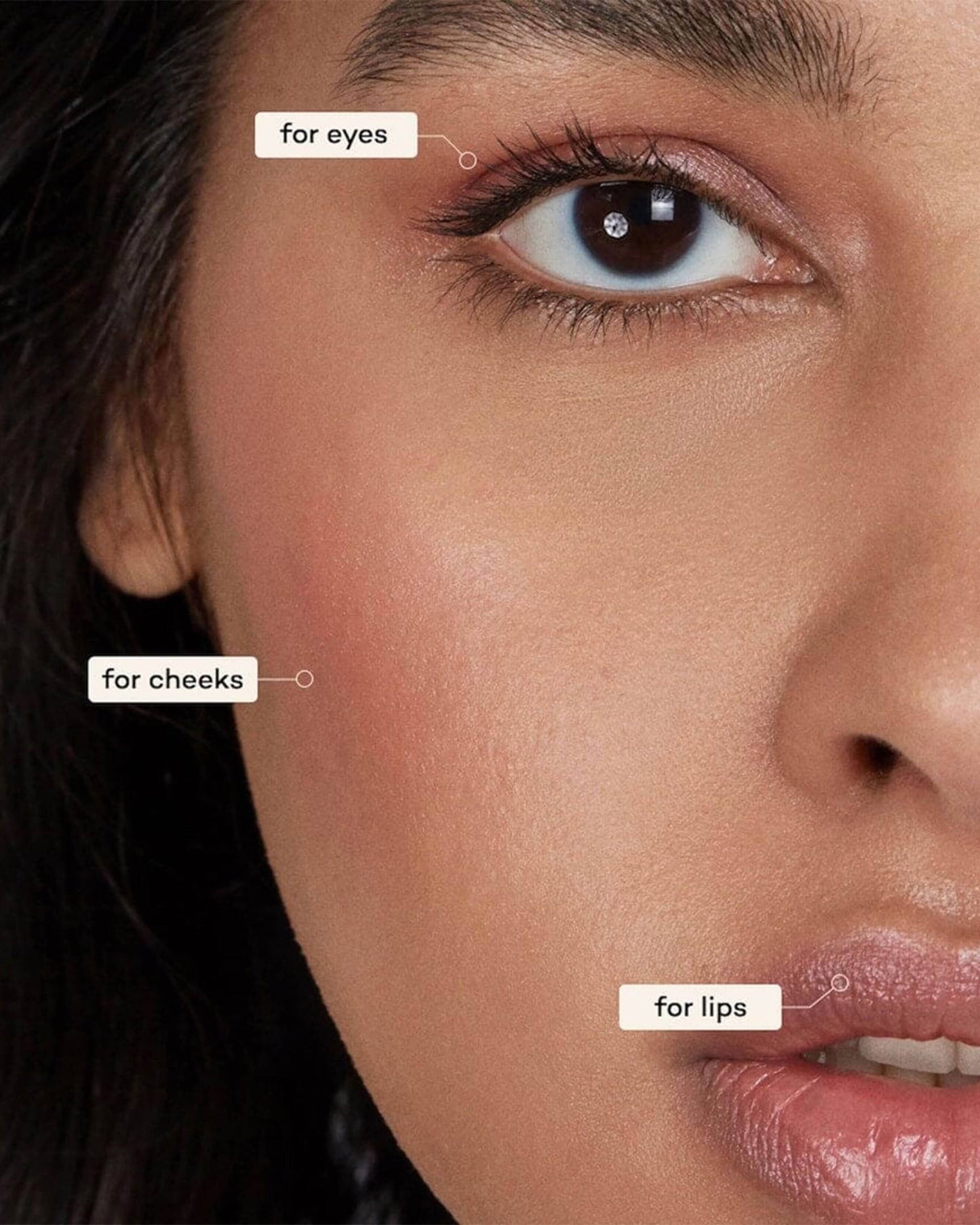Lip-to-Lid Balmie