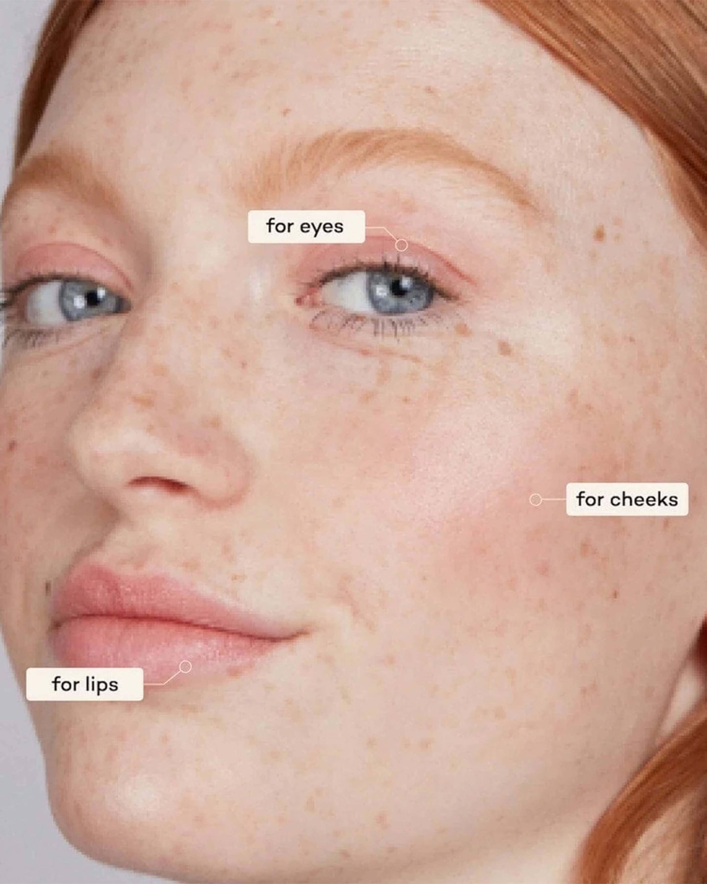 Lip-to-Lid Balmie