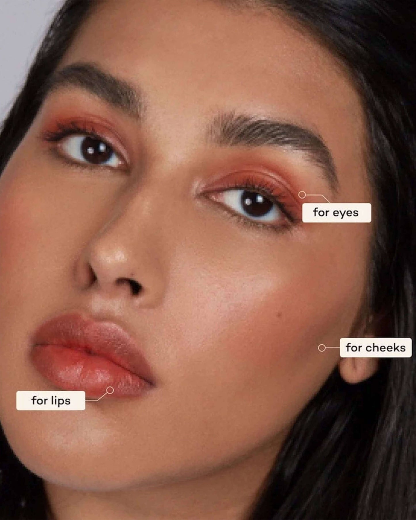 Lip-to-Lid Balmie