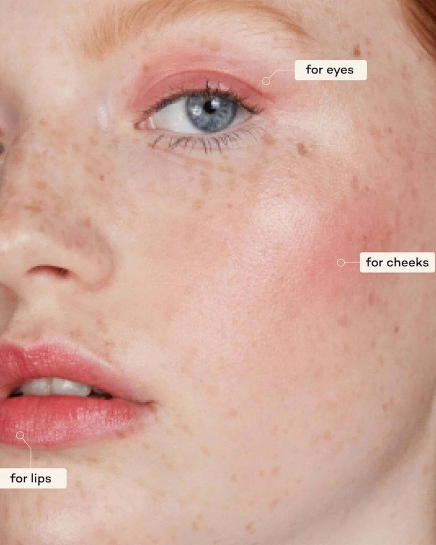 Lip-to-Lid Balmie