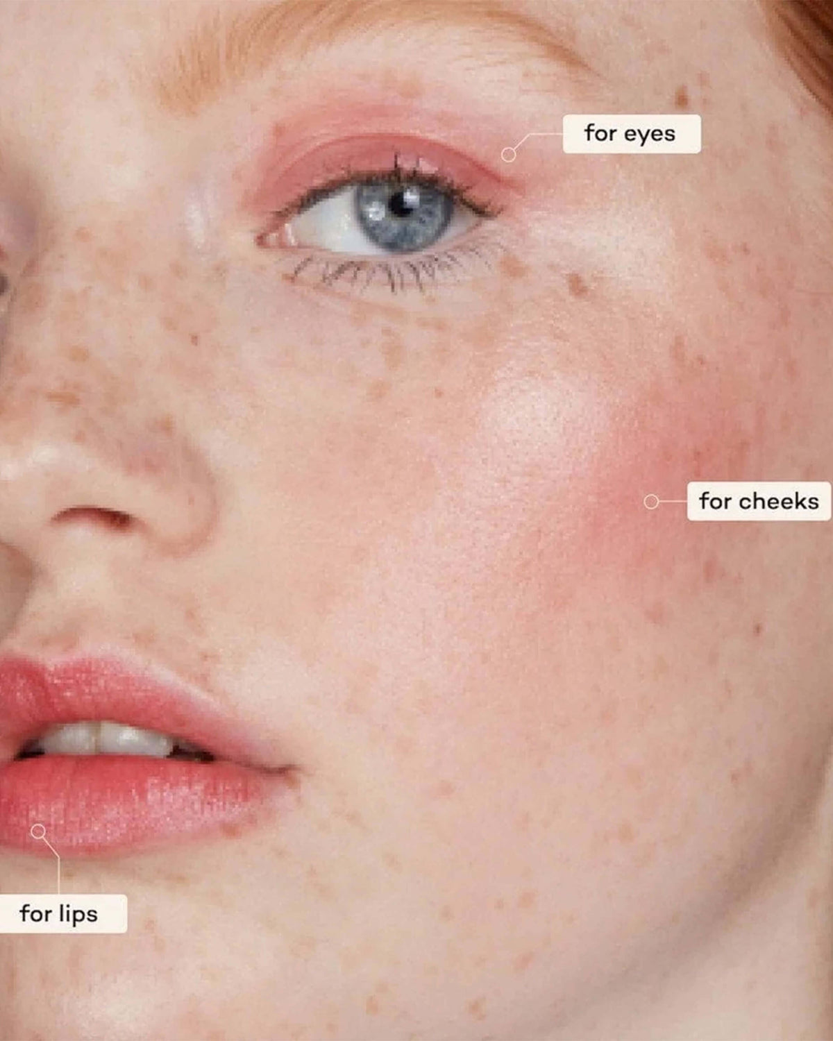 Lip-to-Lid Balmie