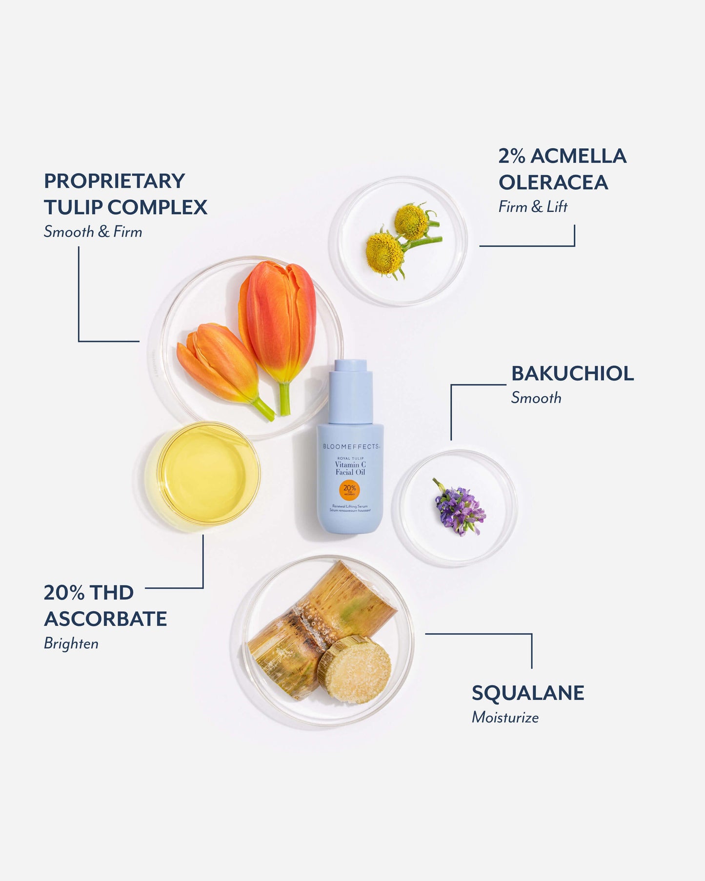 Royal Tulip Vitamin C Facial Oil