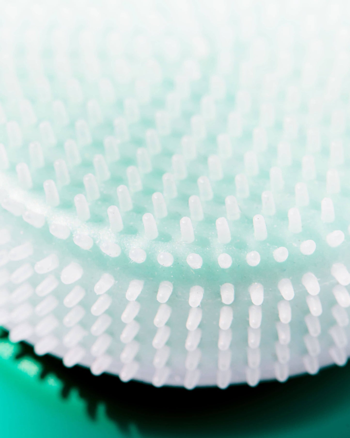 Le Disque Gentle Cleansing Tool