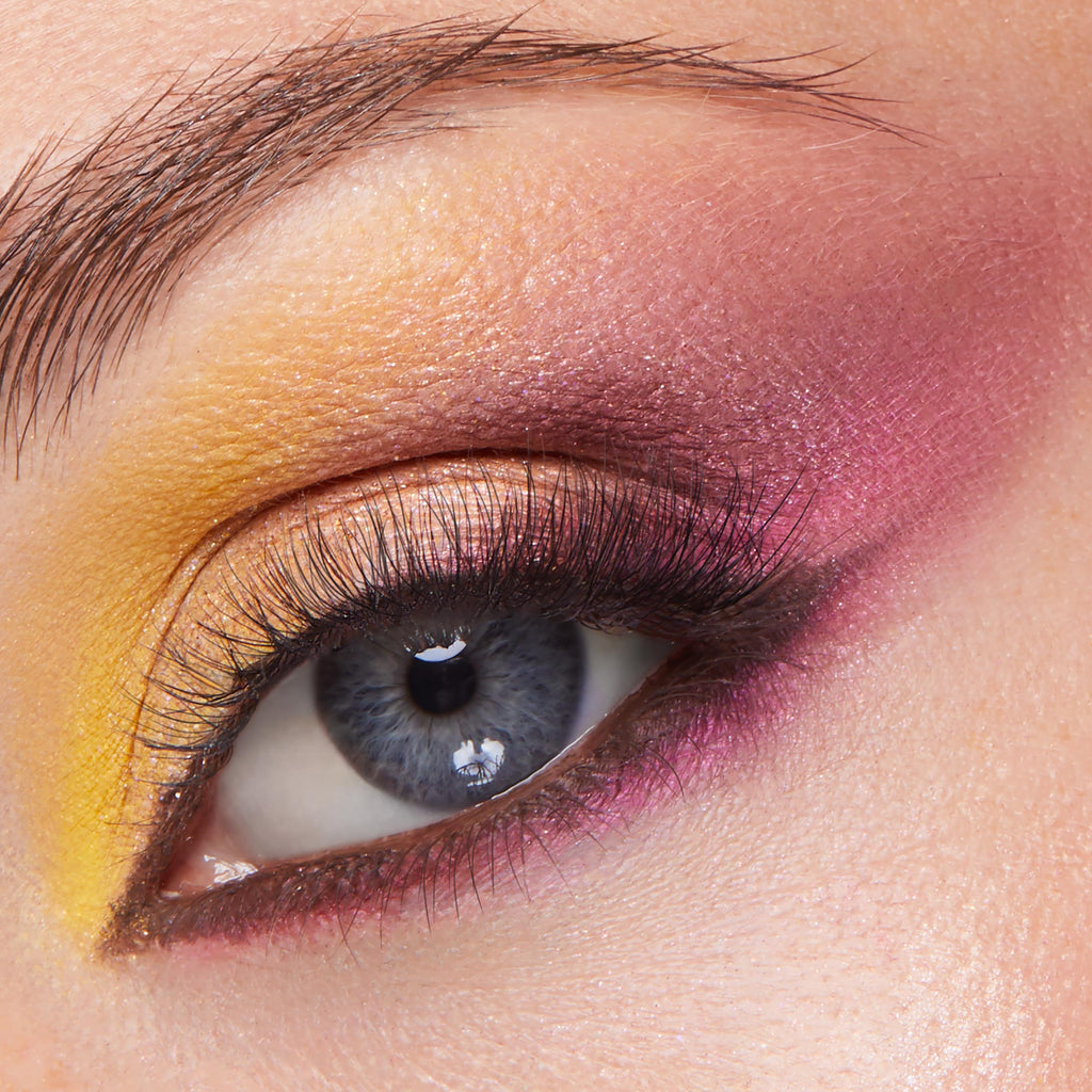 Bourg Palette