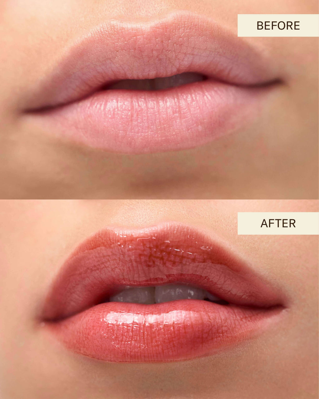 Delicate Gloss