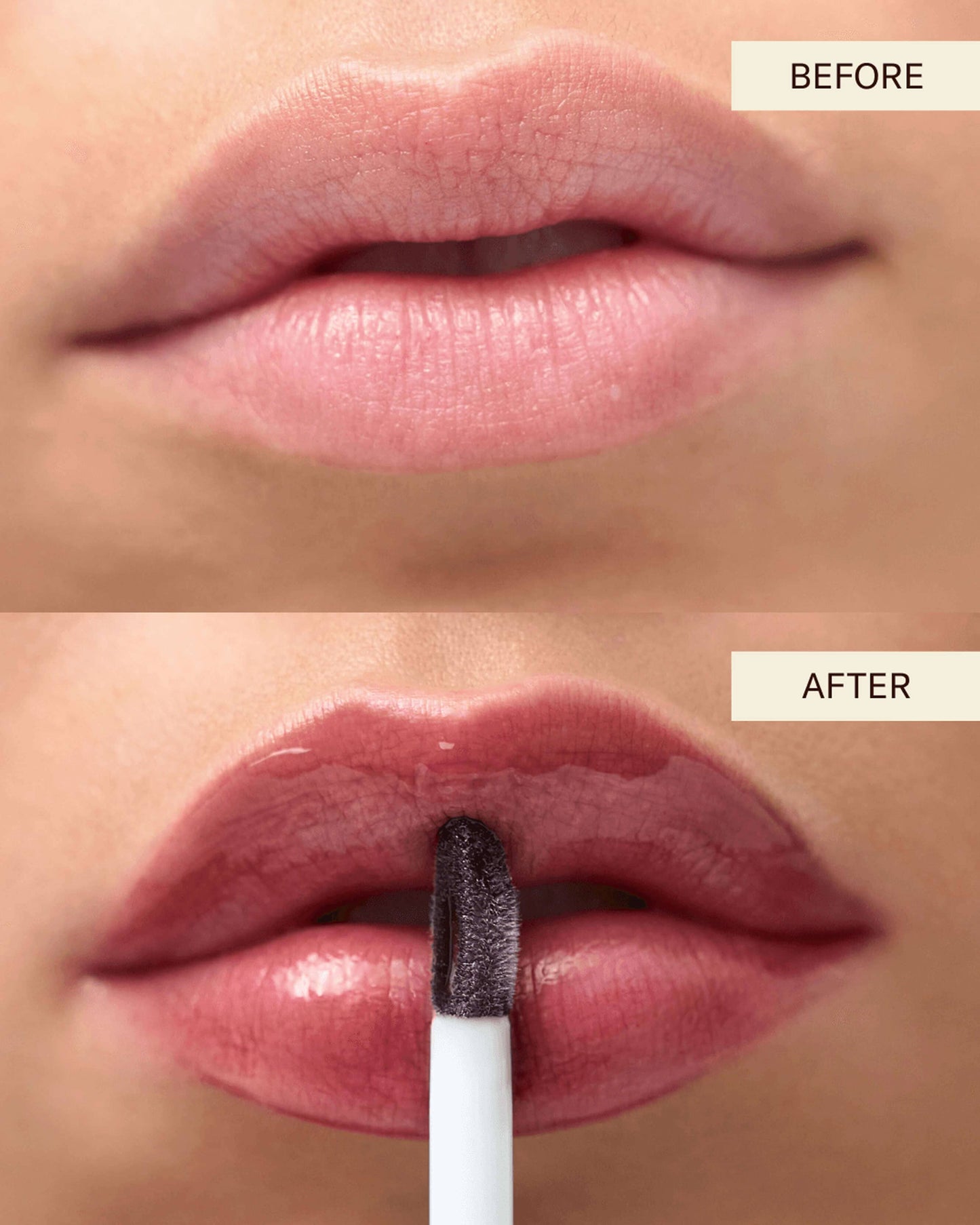 Delicate Gloss