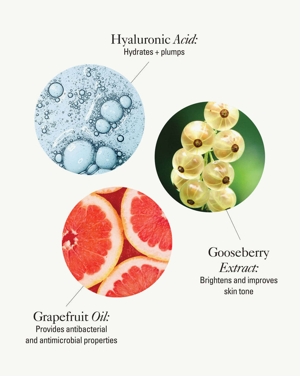 Crème hydratante vitalité