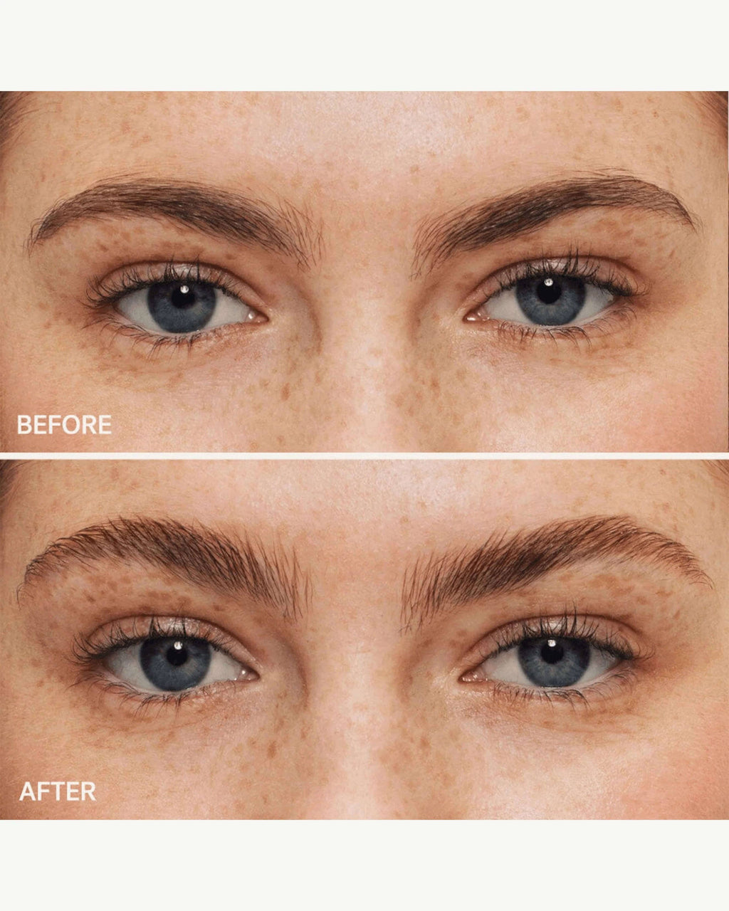Gel sourcils In Frame