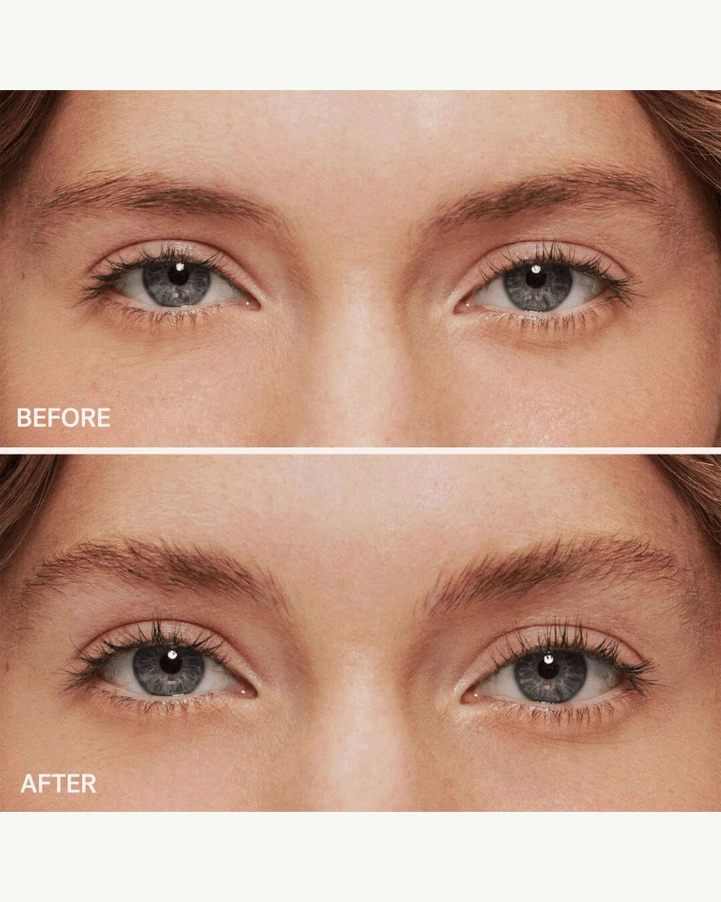 Gel sourcils In Frame