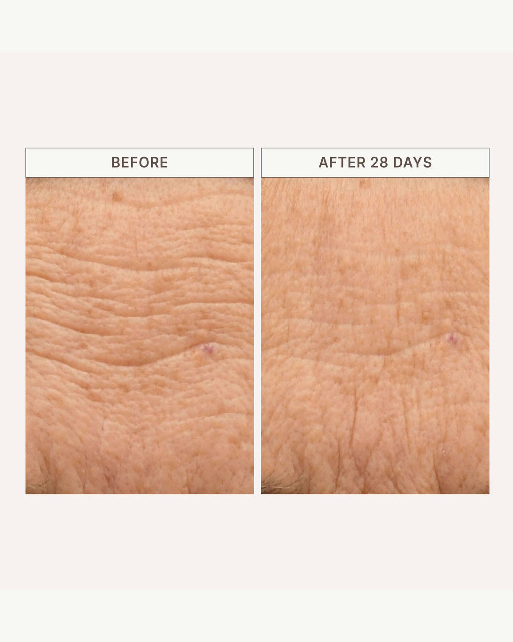 Crème protectrice cutanée Barrier Build
