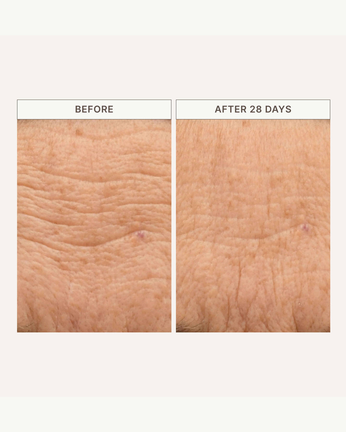 Crème protectrice cutanée Barrier Build