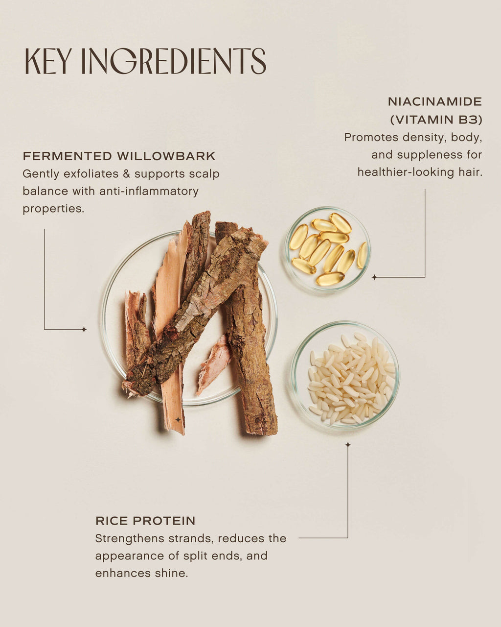Après-shampoing apaisant Hair Renew
