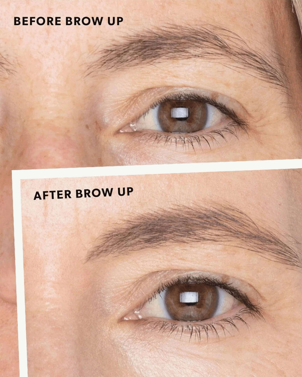 Baume Épaississant Sourcils Brow Up