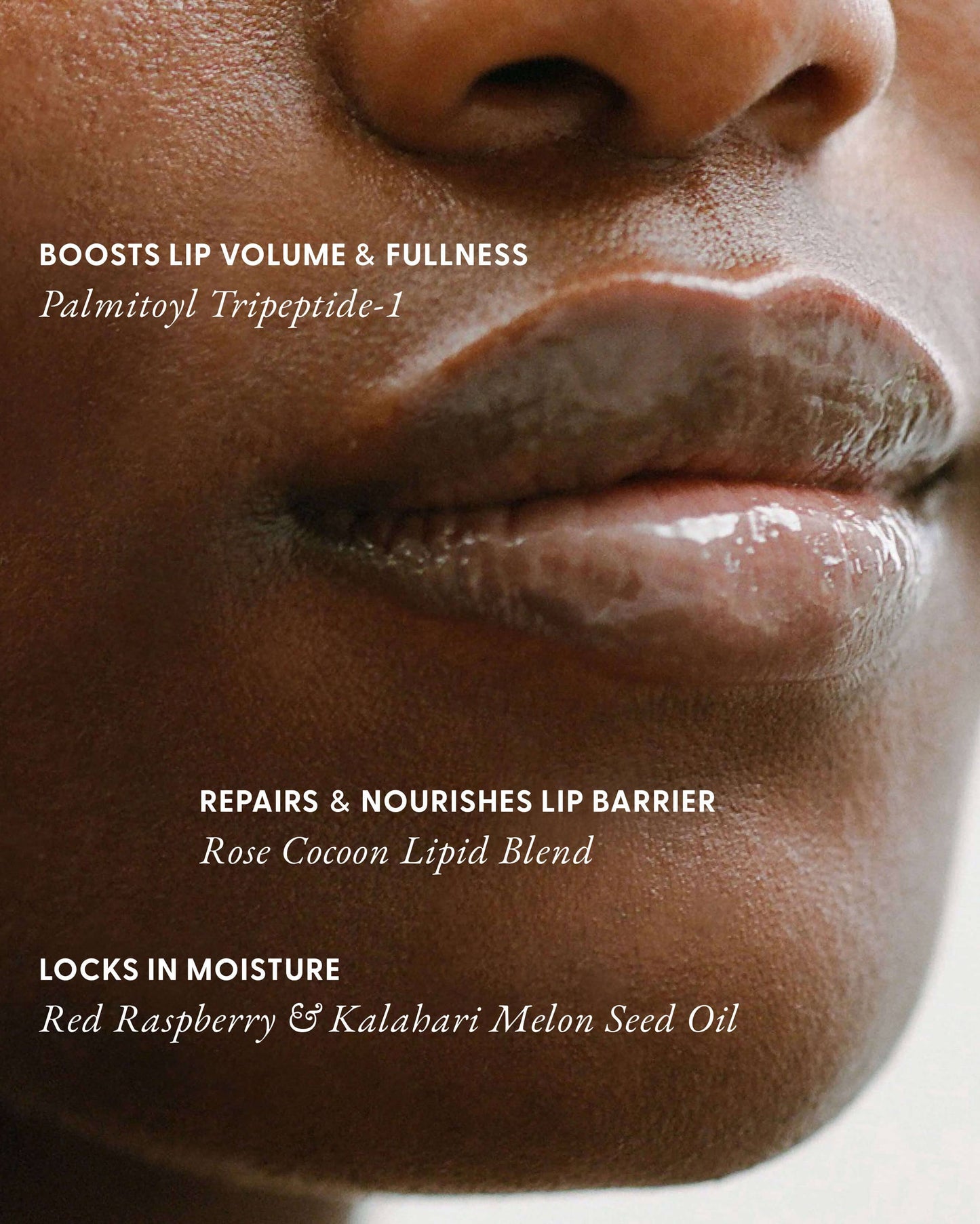 Lip Cocoon Barrier Peptide Treatment Balm