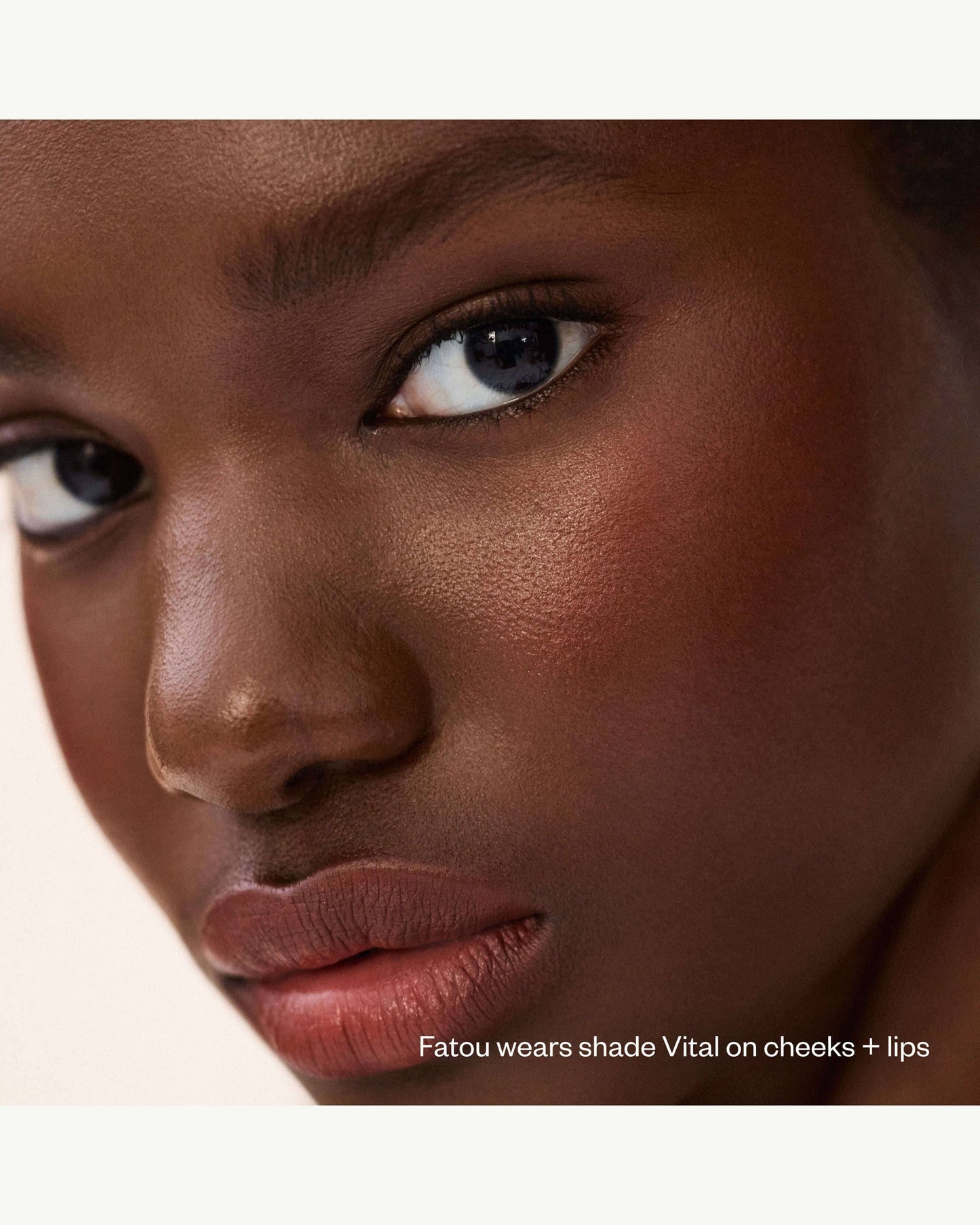 Impressionist Multistick Cream Cheek + Lip Color