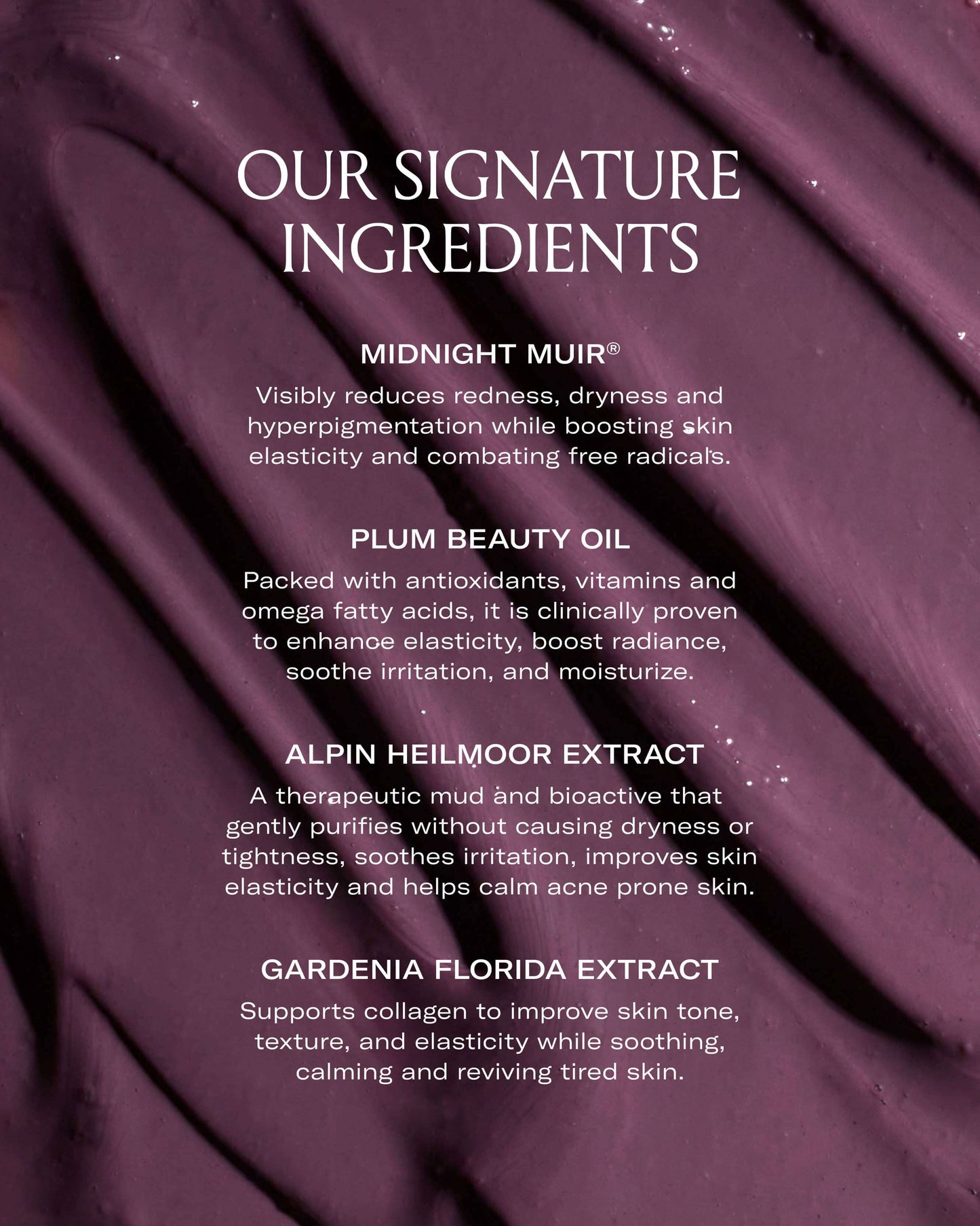Plumtox Clarifying Enzyme Mask